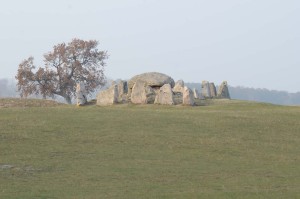 DSC_7905