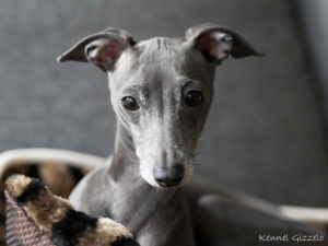 Doris_02